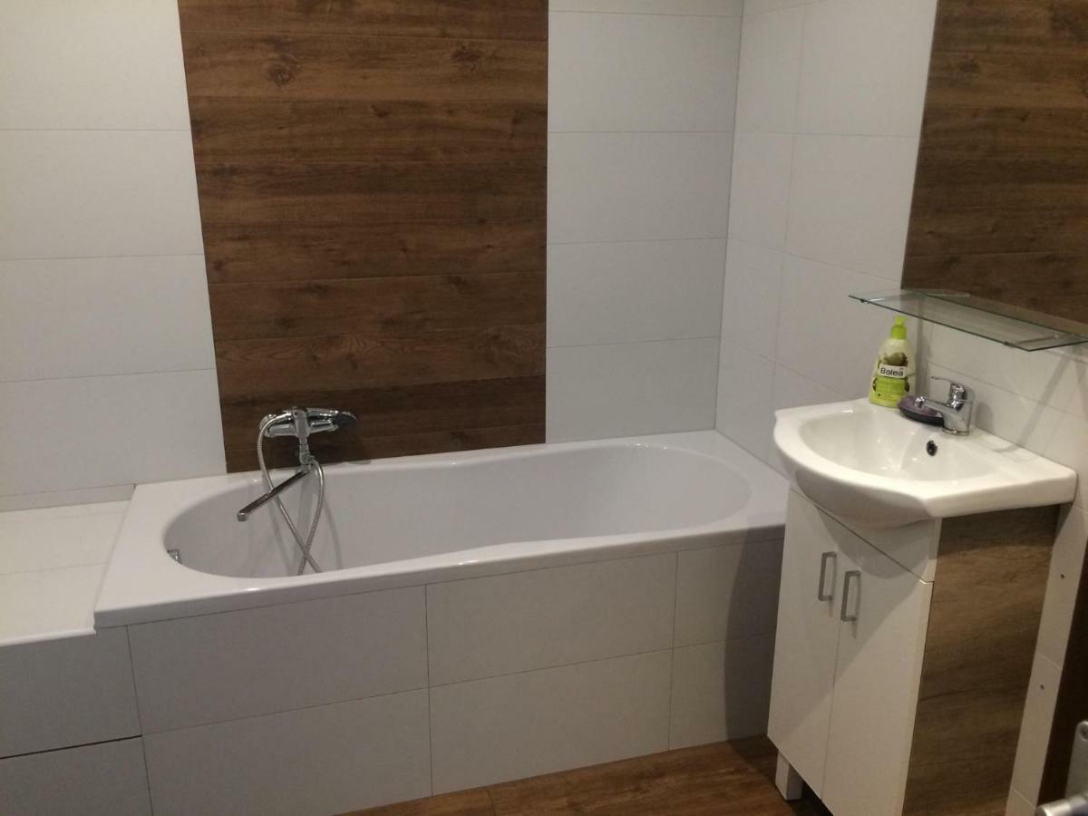 לוני Apartman Zidovice מראה חיצוני תמונה